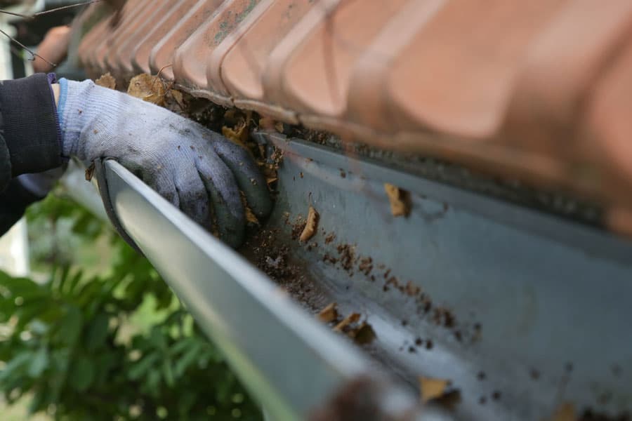 Servicio de limpieza integral de canalones en Vigo